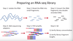 De-novo transcriptome analysis