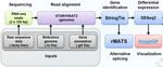 Reference-guide transcriptome analysis